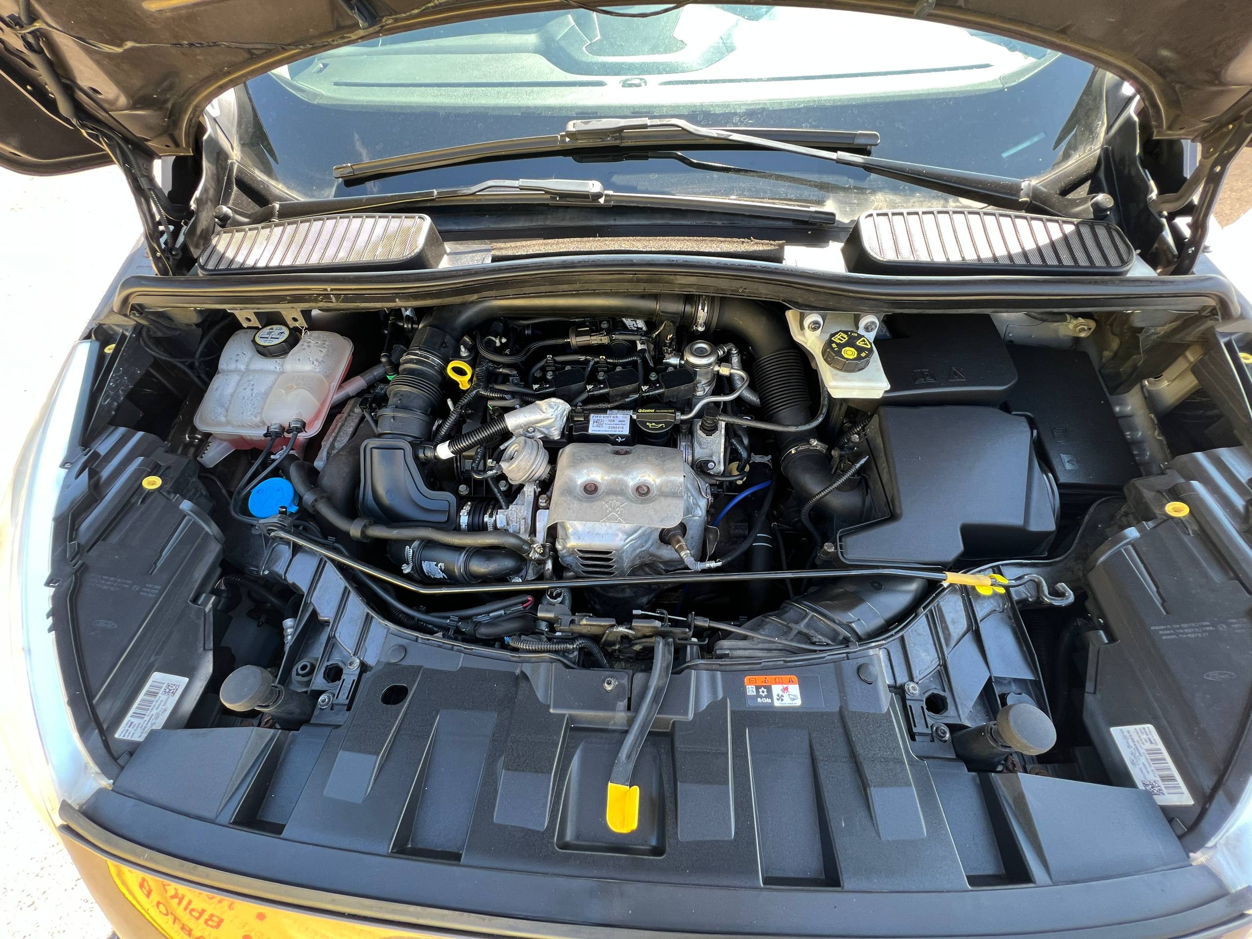  C-MAX